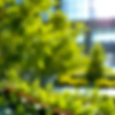 Magnificent Understanding ESG in Business: Implications and Strategies
