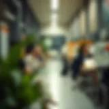 Diverse types of insurance policies