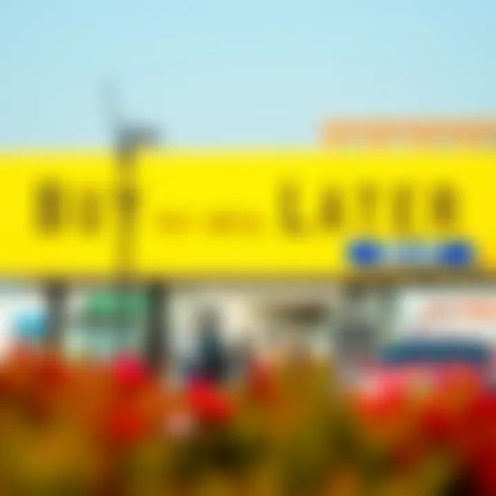 Visual representation of BNPL options