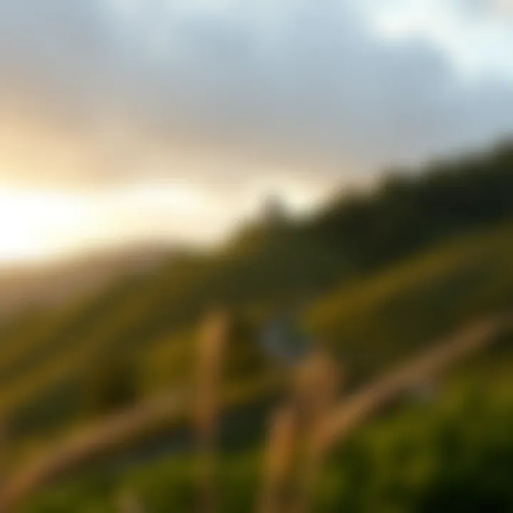 Notable Evaluating Land Value: A Comprehensive Guide