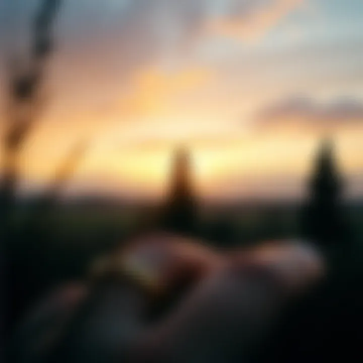 Evaluating Land Value: A Comprehensive Guide Summary