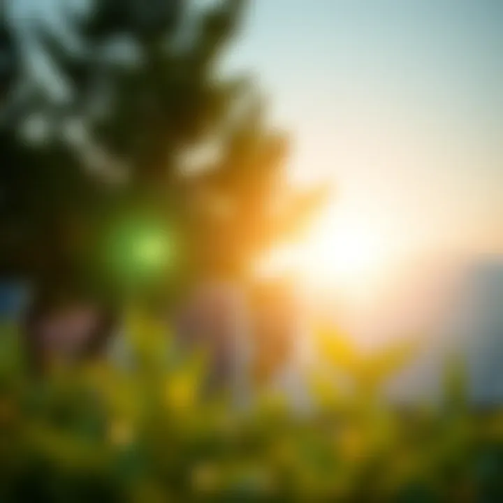 Environmental impact assessment of solar energy solutions