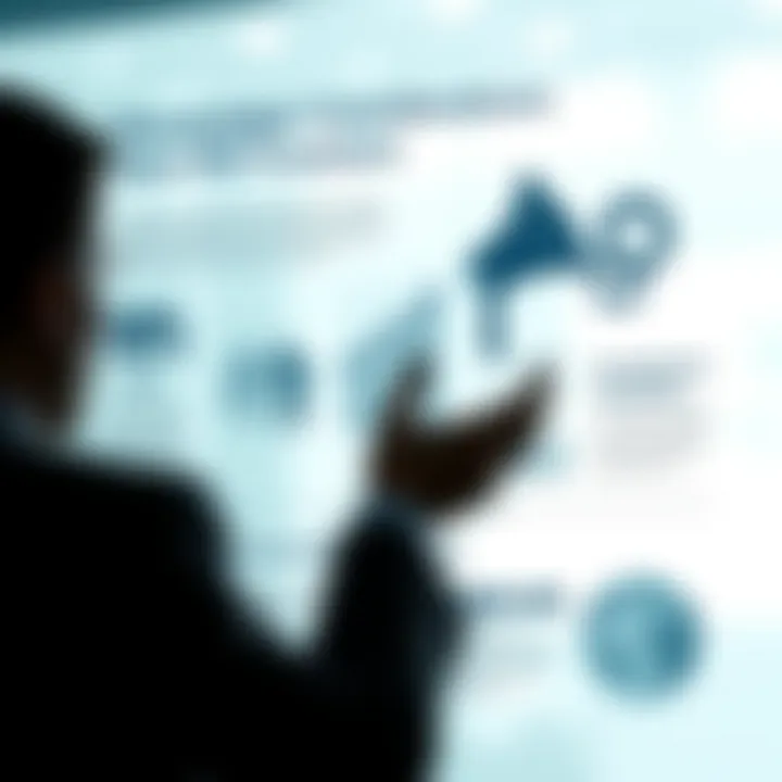 Strategic Considerations for IPO Investors Infographic on strategies for potential IPO investors