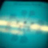 An intricate diagram illustrating the types of life insurance policies available.