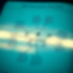 An intricate diagram illustrating the types of life insurance policies available.