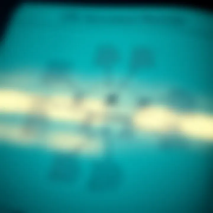 An intricate diagram illustrating the types of life insurance policies available.