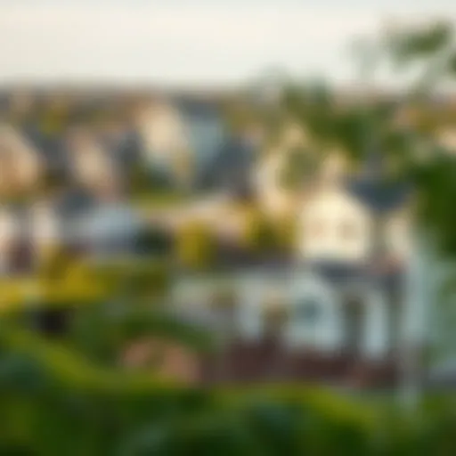 A picturesque view of a suburban neighborhood showcasing a variety of homes